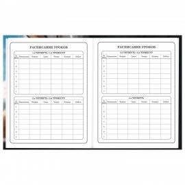 Дневник 1-4 класс 48 л., твердый, BRAUBERG, глянцевая ламинация, с подсказом, Котик, 107156