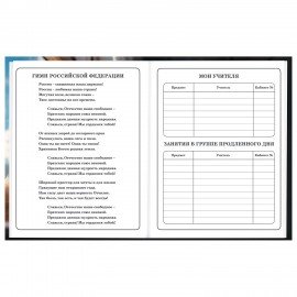 Дневник 1-4 класс 48 л., твердый, BRAUBERG, глянцевая ламинация, с подсказом, Котик, 107156