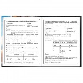 Дневник 1-4 класс 48 л., твердый, BRAUBERG, глянцевая ламинация, с подсказом, Котик, 107156