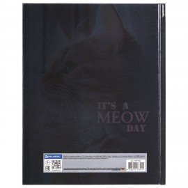 Дневник 1-4 класс 48 л., твердый, BRAUBERG, глянцевая ламинация, с подсказом, Котик, 107156