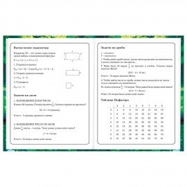 Дневник 1-4 класс 48 л., твердый, BRAUBERG, глянцевая ламинация, с подсказом, "Панда", 107158