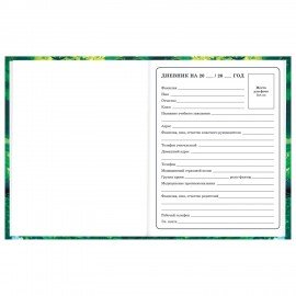 Дневник 1-4 класс 48 л., твердый, BRAUBERG, глянцевая ламинация, с подсказом, "Панда", 107158