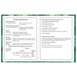 Дневник 1-4 класс 48 л., твердый, BRAUBERG, глянцевая ламинация, с подсказом, "Панда", 107158