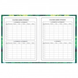 Дневник 1-4 класс 48 л., твердый, BRAUBERG, глянцевая ламинация, с подсказом, "Панда", 107158