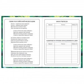 Дневник 1-4 класс 48 л., твердый, BRAUBERG, глянцевая ламинация, с подсказом, "Панда", 107158