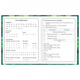 Дневник 1-4 класс 48 л., твердый, BRAUBERG, глянцевая ламинация, с подсказом, "Панда", 107158