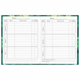 Дневник 1-4 класс 48 л., твердый, BRAUBERG, глянцевая ламинация, с подсказом, "Панда", 107158