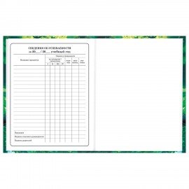 Дневник 1-4 класс 48 л., твердый, BRAUBERG, глянцевая ламинация, с подсказом, "Панда", 107158