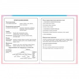 Дневник 1-4 класс 48 л., твердый, BRAUBERG, выборочный лак, с подсказом, "Котик", 107161