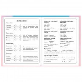 Дневник 1-4 класс 48 л., твердый, BRAUBERG, выборочный лак, с подсказом, "Котик", 107161
