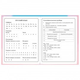 Дневник 1-4 класс 48 л., твердый, BRAUBERG, выборочный лак, с подсказом, "Котик", 107161