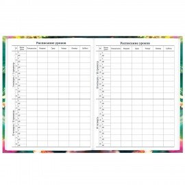 Дневник 1-11 класс 40 л., твердый, BRAUBERG, глянцевая ламинация, "Тигренок", 107168