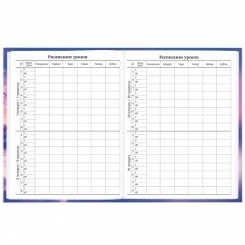 Дневник 1-11 класс 40 л., твердый, BRAUBERG, глянцевая ламинация, Winter Cat, 107169