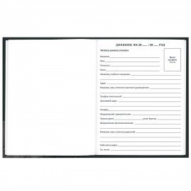 Дневник 1-11 класс 40 л., твердый, BRAUBERG, глянцевая ламинация, Авто, 107170