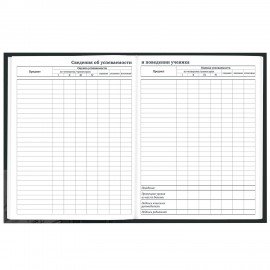 Дневник 1-11 класс 40 л., твердый, BRAUBERG, глянцевая ламинация, Авто, 107170