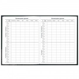 Дневник 1-11 класс 40 л., твердый, BRAUBERG, глянцевая ламинация, Авто, 107170