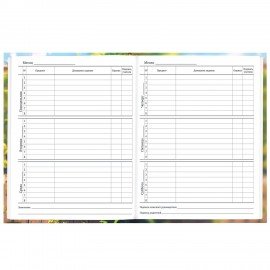 Дневник 1-11 класс 40 л., твердый, BRAUBERG, матовая ламинация, Cute Cat, 107180