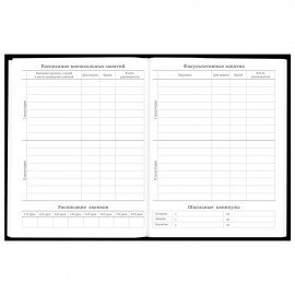 Дневник 5-11 класс 48л, твердый, BRAUBERG, глянцевая ламинация, с подсказом, Black, 107182