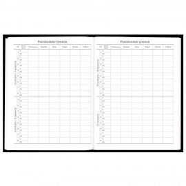 Дневник 5-11 класс 48л, твердый, BRAUBERG, глянцевая ламинация, с подсказом, Black, 107182