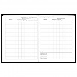 Дневник 5-11 класс 48л, твердый, BRAUBERG, глянцевая ламинация, с подсказом, Black, 107182