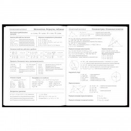 Дневник 5-11 класс 48л, твердый, BRAUBERG, глянцевая ламинация, с подсказом, Black, 107182