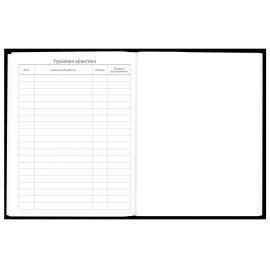 Дневник 5-11 класс 48 л., твердый, BRAUBERG, матовая ламинация, с подсказом, Гуси, 107183