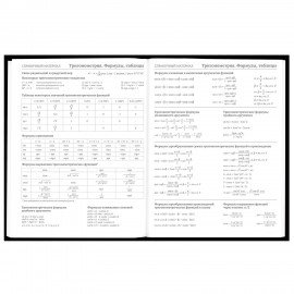 Дневник 5-11 класс 48 л., твердый, BRAUBERG, матовая ламинация, с подсказом, Гуси, 107183