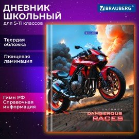Дневник 5-11 класс 48 л., твердый, BRAUBERG, глянцевая ламинация, с подсказом, Байк, 107186