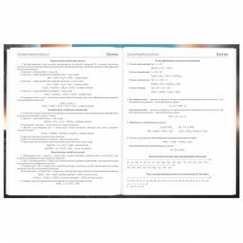 Дневник 5-11 класс 48 л., твердый, BRAUBERG, глянцевая ламинация, с подсказом, Байк, 107186