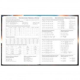 Дневник 5-11 класс 48 л., твердый, BRAUBERG, глянцевая ламинация, с подсказом, Байк, 107186