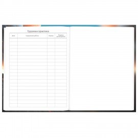 Дневник 5-11 класс 48 л., твердый, BRAUBERG, глянцевая ламинация, с подсказом, Байк, 107186