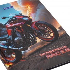 Дневник 5-11 класс 48 л., твердый, BRAUBERG, глянцевая ламинация, с подсказом, Байк, 107186