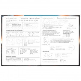 Дневник 5-11 класс 48 л., твердый, BRAUBERG, глянцевая ламинация, с подсказом, Байк, 107186