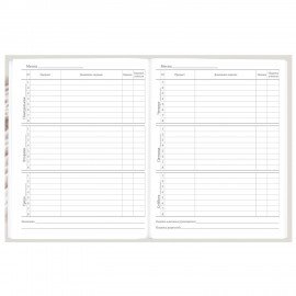 Дневник 5-11 класс 48 л., твердый, BRAUBERG, глянцевая ламинация, с подсказом, Котик, 107188