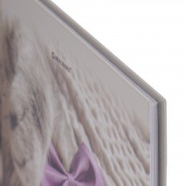 Дневник 5-11 класс 48 л., твердый, BRAUBERG, глянцевая ламинация, с подсказом, Котик, 107188