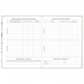 Дневник 5-11 класс 48 л., твердый, BRAUBERG, глянцевая ламинация, с подсказом, Котик, 107188