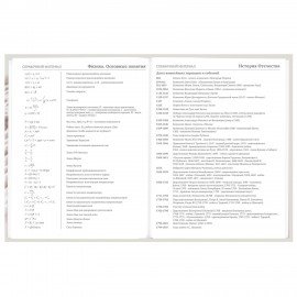 Дневник 5-11 класс 48 л., твердый, BRAUBERG, глянцевая ламинация, с подсказом, Котик, 107188