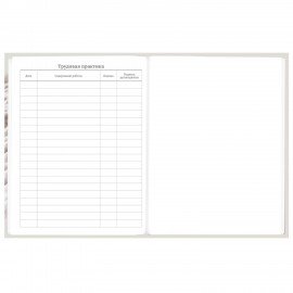 Дневник 5-11 класс 48 л., твердый, BRAUBERG, глянцевая ламинация, с подсказом, Котик, 107188