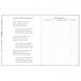 Дневник 5-11 класс 48 л., твердый, BRAUBERG, глянцевая ламинация, с подсказом, Котик, 107188