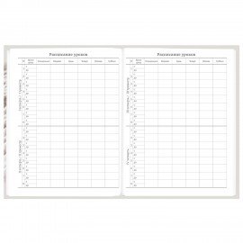 Дневник 5-11 класс 48 л., твердый, BRAUBERG, глянцевая ламинация, с подсказом, Котик, 107188