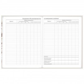 Дневник 5-11 класс 48 л., твердый, BRAUBERG, глянцевая ламинация, с подсказом, Котик, 107188