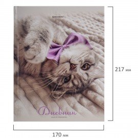 Дневник 5-11 класс 48 л., твердый, BRAUBERG, глянцевая ламинация, с подсказом, Котик, 107188