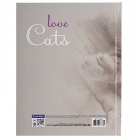 Дневник 5-11 класс 48 л., твердый, BRAUBERG, глянцевая ламинация, с подсказом, Котик, 107188