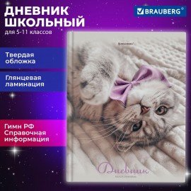 Дневник 5-11 класс 48 л., твердый, BRAUBERG, глянцевая ламинация, с подсказом, Котик, 107188