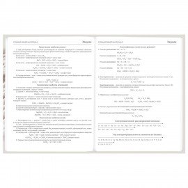 Дневник 5-11 класс 48 л., твердый, BRAUBERG, глянцевая ламинация, с подсказом, Котик, 107188