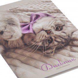 Дневник 5-11 класс 48 л., твердый, BRAUBERG, глянцевая ламинация, с подсказом, Котик, 107188