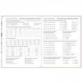 Дневник 5-11 класс 48 л., твердый, BRAUBERG, глянцевая ламинация, с подсказом, Котик, 107188