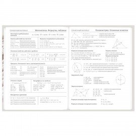 Дневник 5-11 класс 48 л., твердый, BRAUBERG, глянцевая ламинация, с подсказом, Котик, 107188