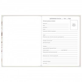 Дневник 5-11 класс 48 л., твердый, BRAUBERG, глянцевая ламинация, с подсказом, Котик, 107188