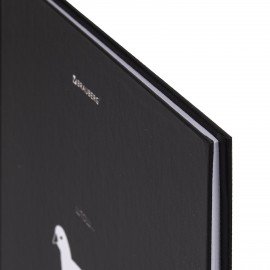 Дневник 5-11 класс 48 л., твердый, BRAUBERG, матовая ламинация, с подсказом, Штош, 107190